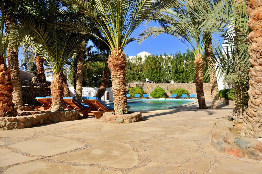 Dahab Divers Exterior foto