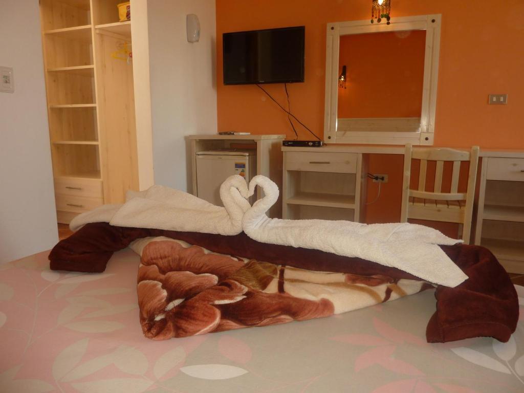 Dahab Divers Quarto foto